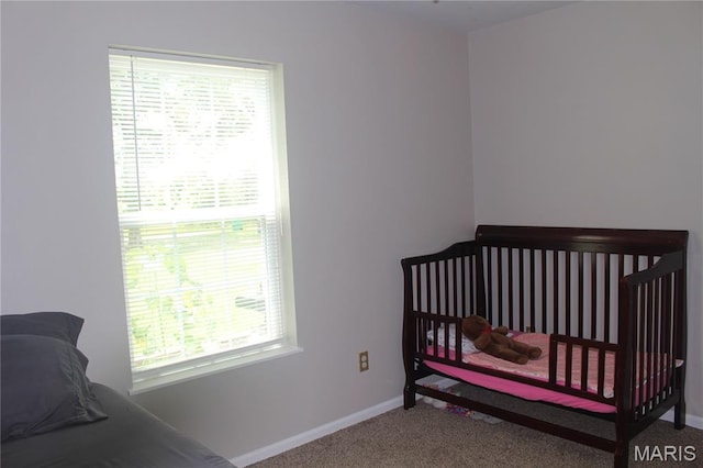 3351 Hamilton Town Rd, Doe Run, MO 63637 - photo 39