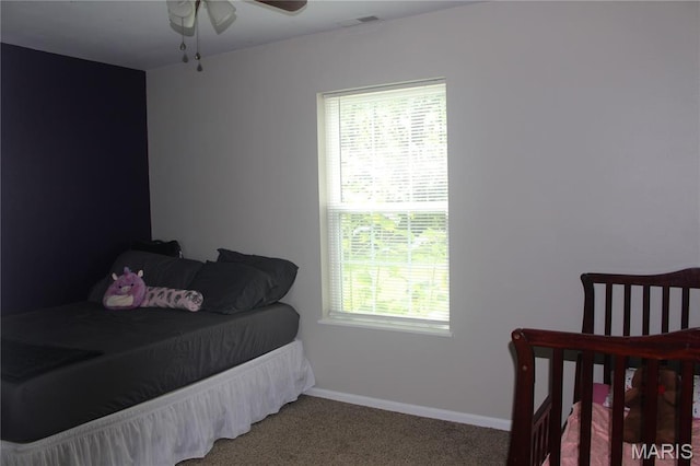 3351 Hamilton Town Rd, Doe Run, MO 63637 - photo 40