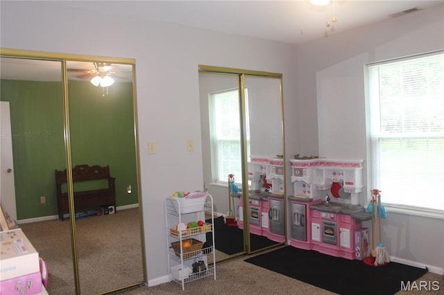3351 Hamilton Town Rd, Doe Run, MO 63637 - photo 44