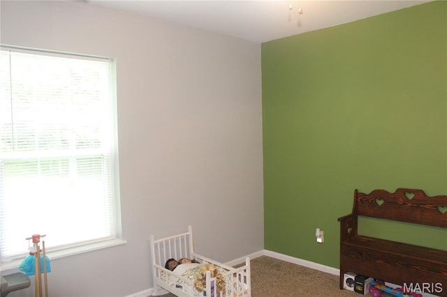 3351 Hamilton Town Rd, Doe Run, MO 63637 - photo 45