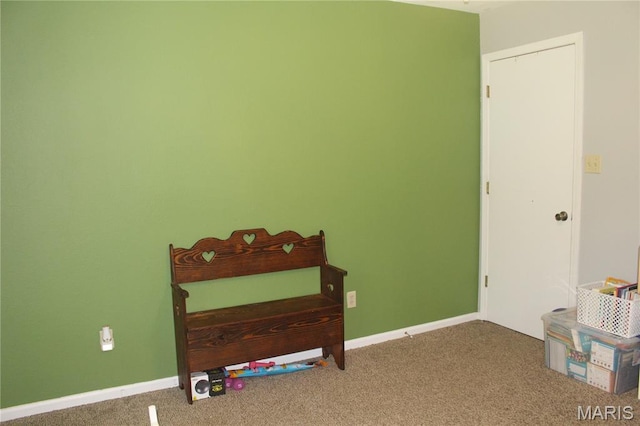 3351 Hamilton Town Rd, Doe Run, MO 63637 - photo 47