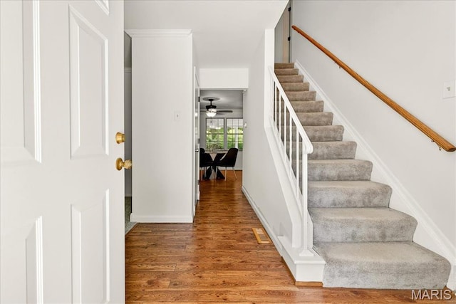 291 Oak Path Ct, Ballwin, MO 63011 - photo 8