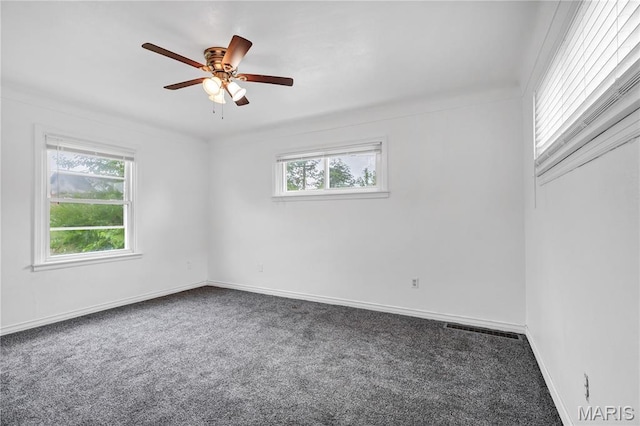 6815 Parkwood Pl, Saint Louis, MO 63116 - photo 13