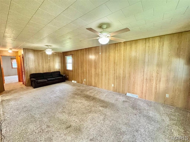 503 N Chestnut St, Monroe City, MO 63456 - photo 6