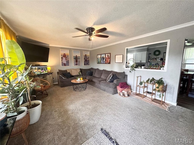 318 S Breckenridge Ave, Palmyra, MO 63461 - photo 4
