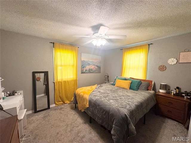 318 S Breckenridge Ave, Palmyra, MO 63461 - photo 16