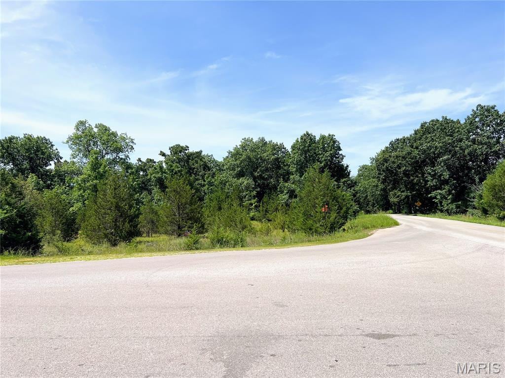 1752 S Capri Dr, Bonne Terre, MO 63628 - photo 1