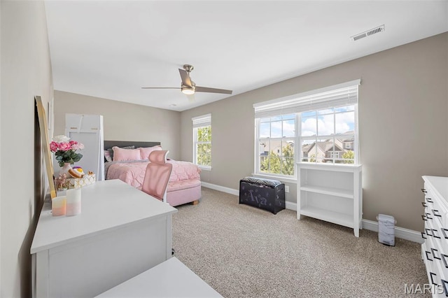22 Suljak Ct, Ofallon, MO 63366 - photo 40