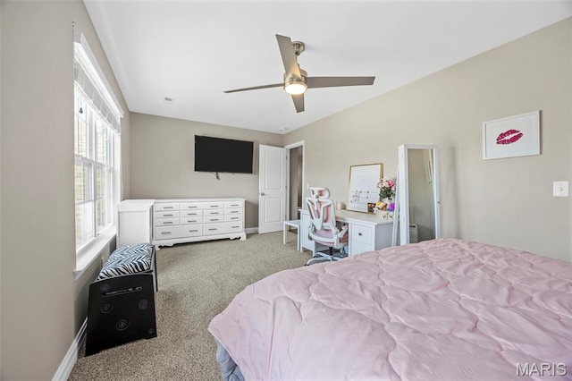 22 Suljak Ct, Ofallon, MO 63366 - photo 41