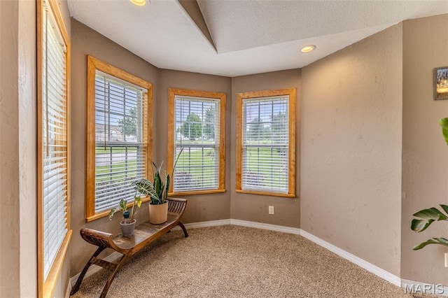 545 Woody Dr, Lebanon, MO 65536 - photo 19