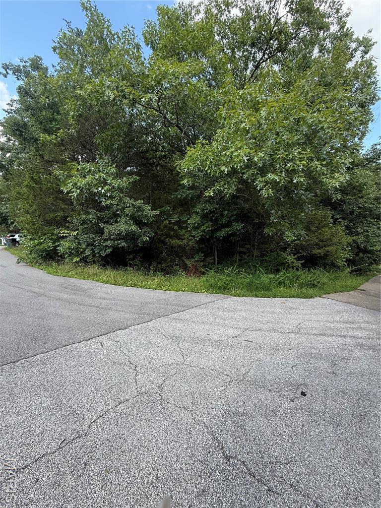 9718 Magnolia Dr, Hillsboro, MO 63050 - photo 1