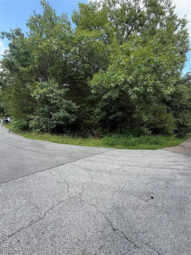 9718 Magnolia Dr, Hillsboro, MO 63050 - photo 1