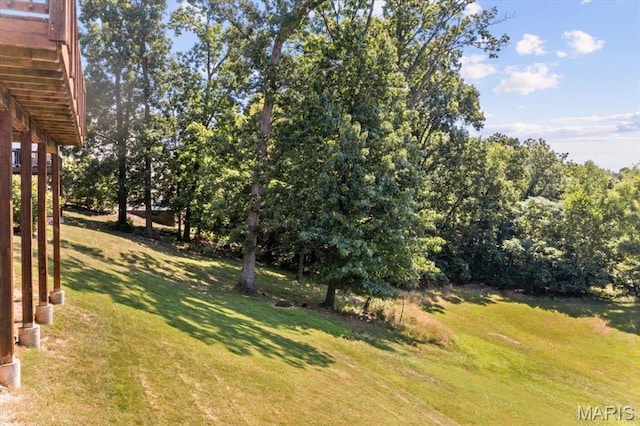 28 Hickory Ct, Arnold, MO 63010 - photo 51