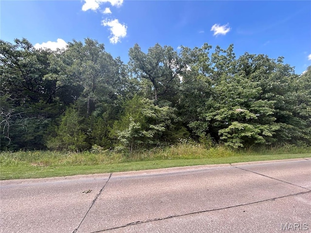 5986 Plantation Dr, Hillsboro, MO 63050 - photo 1