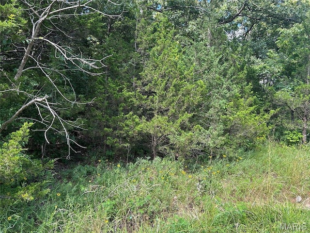 5986 Plantation Dr, Hillsboro, MO 63050 - photo 2