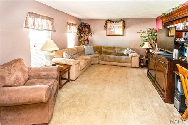 806 N Smiley St, Ofallon, IL 62269 - photo 13