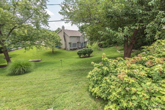 11458 Burgess Ave, Bridgeton, MO 63044 - photo 44