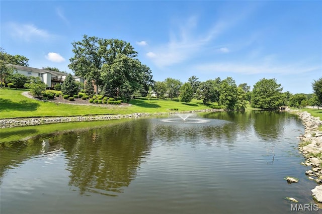 1541 Swallow Dr, Brentwood, MO 63144 - photo 27