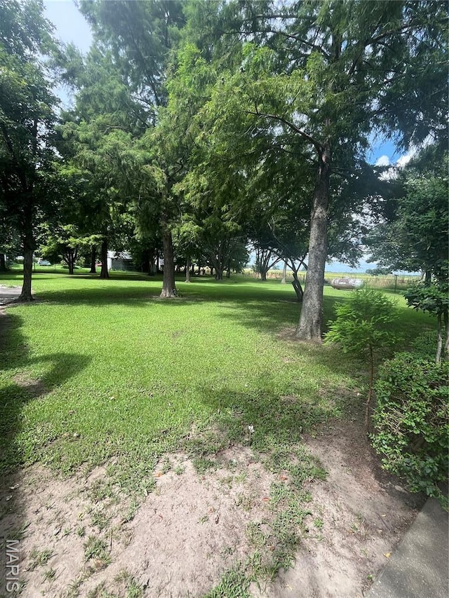 4113 US Highway 61, Steele, MO 63877 - photo 4