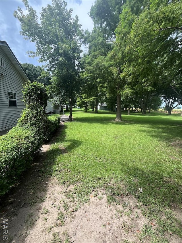 4113 US Highway 61, Steele, MO 63877 - photo 5