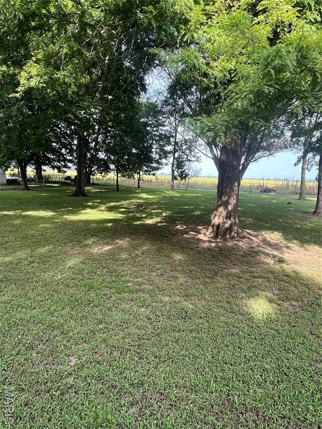 4113 US Highway 61, Steele, MO 63877 - photo 10