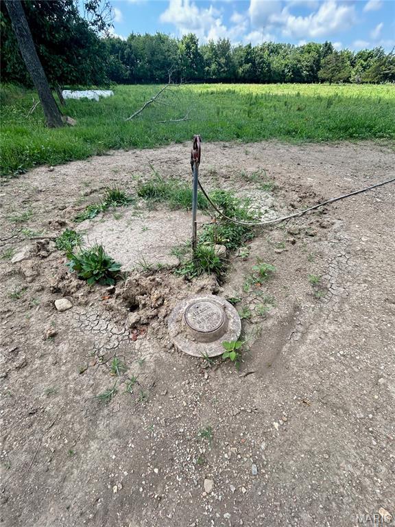 TBD Walker Ave, Licking, MO 65542 - photo 3