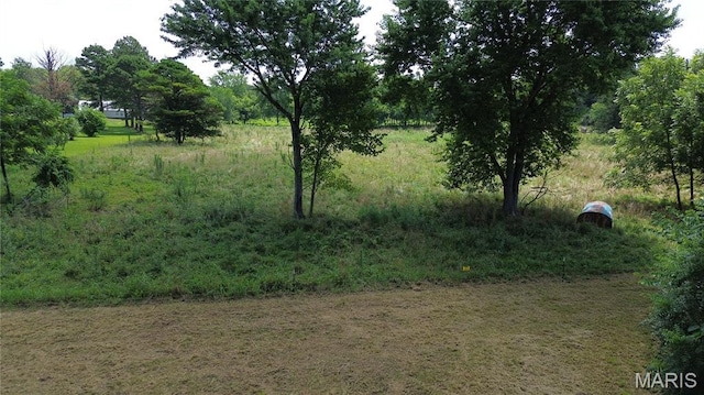 TBD Walker Ave, Licking, MO 65542 - photo 7