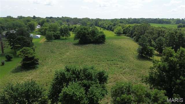 TBD Walker Ave, Licking, MO 65542 - photo 8