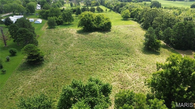 TBD Walker Ave, Licking, MO 65542 - photo 9