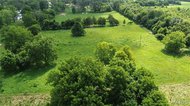 TBD Walker Ave, Licking, MO 65542 - photo 10