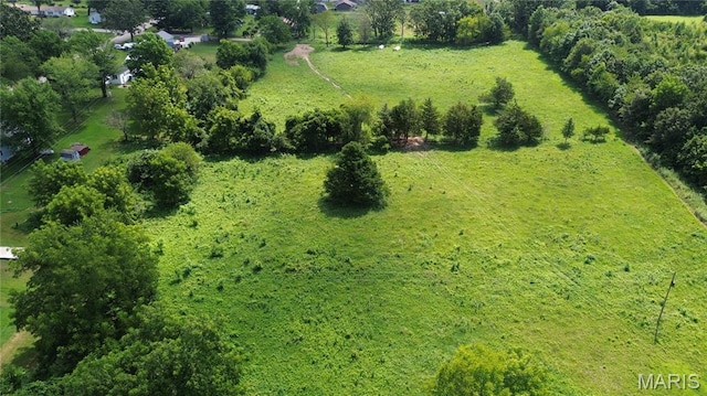 TBD Walker Ave, Licking, MO 65542 - photo 12