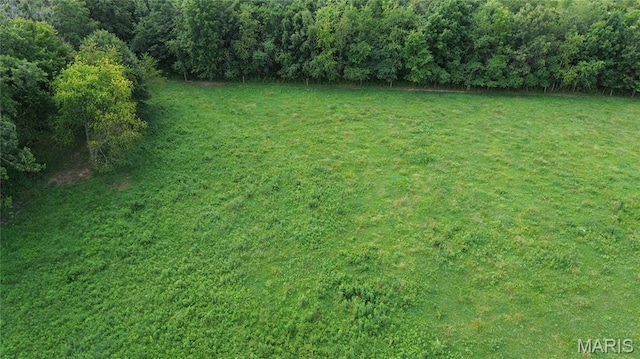 TBD Walker Ave, Licking, MO 65542 - photo 13