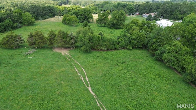TBD Walker Ave, Licking, MO 65542 - photo 14