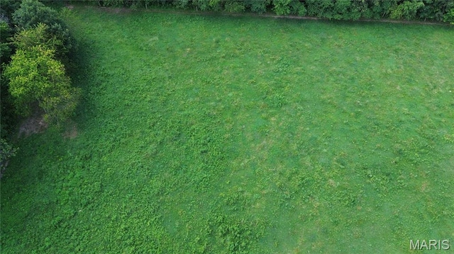 TBD Walker Ave, Licking, MO 65542 - photo 16