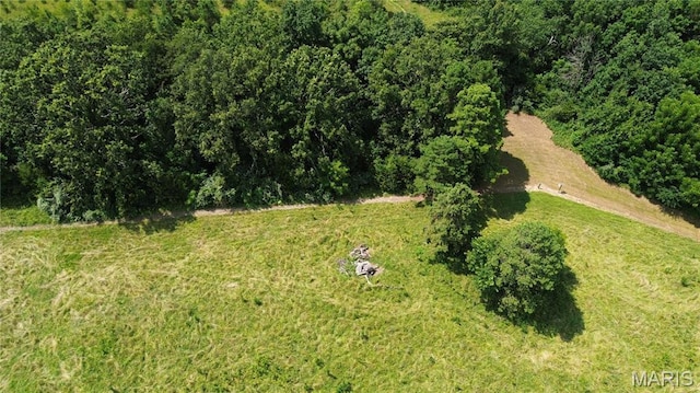 TBD Walker Ave, Licking, MO 65542 - photo 19