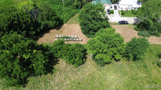 TBD Walker Ave, Licking, MO 65542 - photo 21