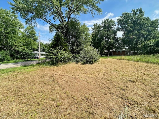 TBD Walker Ave, Licking, MO 65542 - photo 23