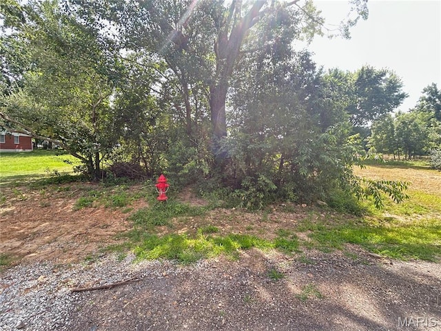 TBD Walker Ave, Licking, MO 65542 - photo 25