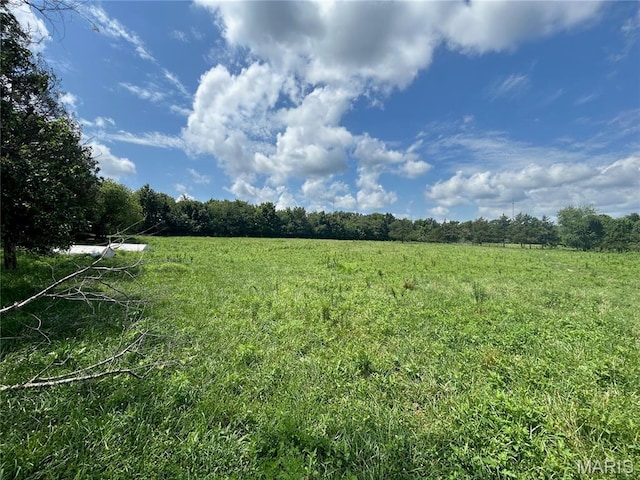 TBD Walker Ave, Licking, MO 65542 - photo 26