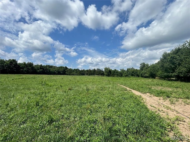 TBD Walker Ave, Licking, MO 65542 - photo 27