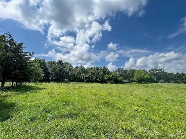 TBD Walker Ave, Licking, MO 65542 - photo 28