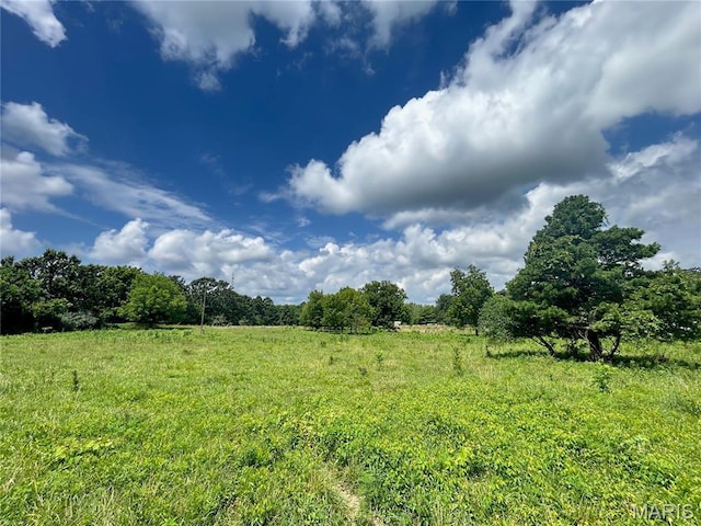 TBD Walker Ave, Licking, MO 65542 - photo 29