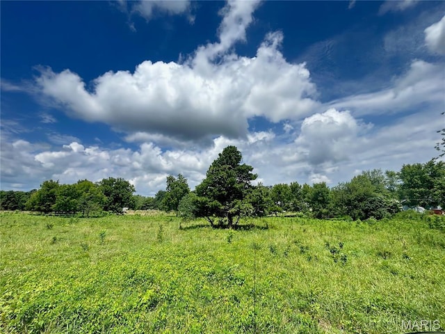 TBD Walker Ave, Licking, MO 65542 - photo 30