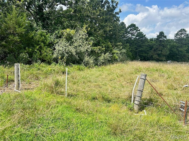 TBD Walker Ave, Licking, MO 65542 - photo 32
