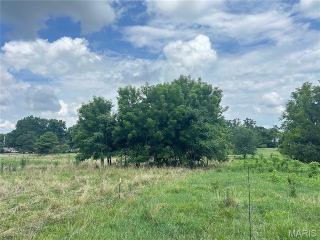 TBD Walker Ave, Licking, MO 65542 - photo 33