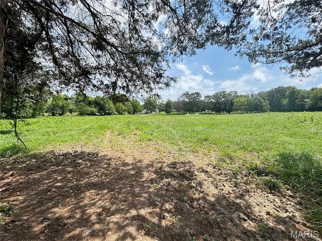 TBD Walker Ave, Licking, MO 65542 - photo 36