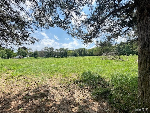 TBD Walker Ave, Licking, MO 65542 - photo 37