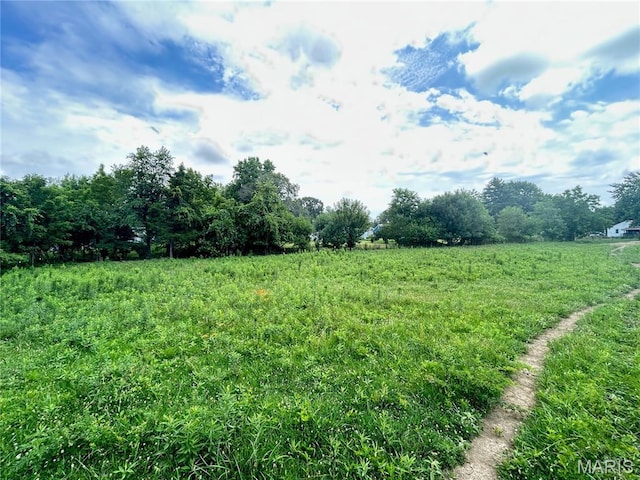 TBD Walker Ave, Licking, MO 65542 - photo 38