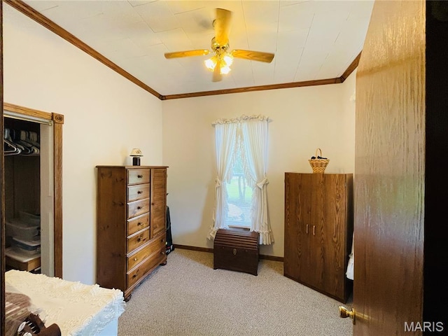 215 Highland St, Carrollton, IL 62016 - photo 14