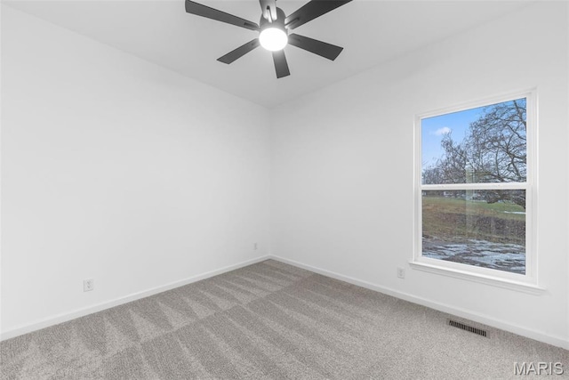 6 Dogwood Ct, Jonesburg, MO 63351 - photo 19